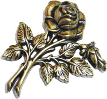 Bronze rose