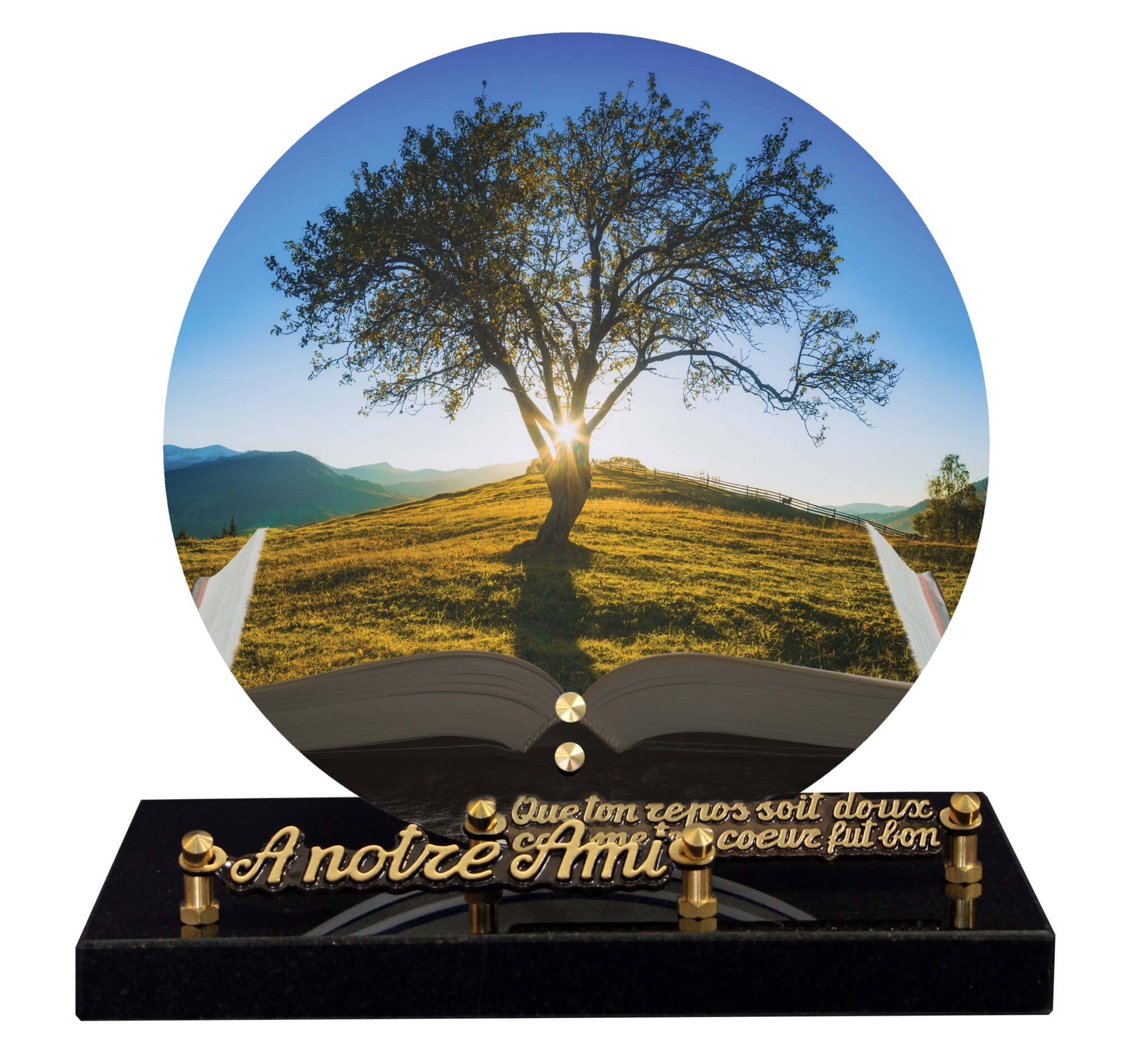 Plaques Funéraires Personnalisées En Granit Noir, Avec Main Et Colombe Plaque Funéraire Personnalisée