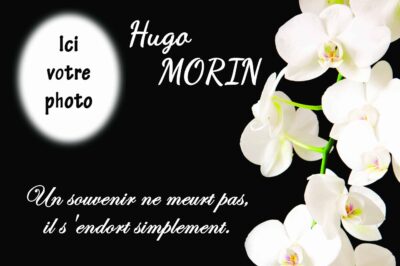 rect 20x30_1 plaquette columbarium orchidée