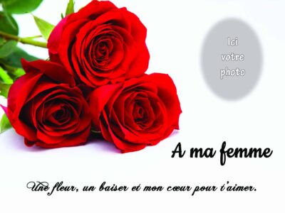 rect 30x40_1 plaquette columbarium rose rouge
