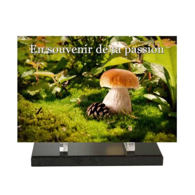 P-820-PS MEP V3